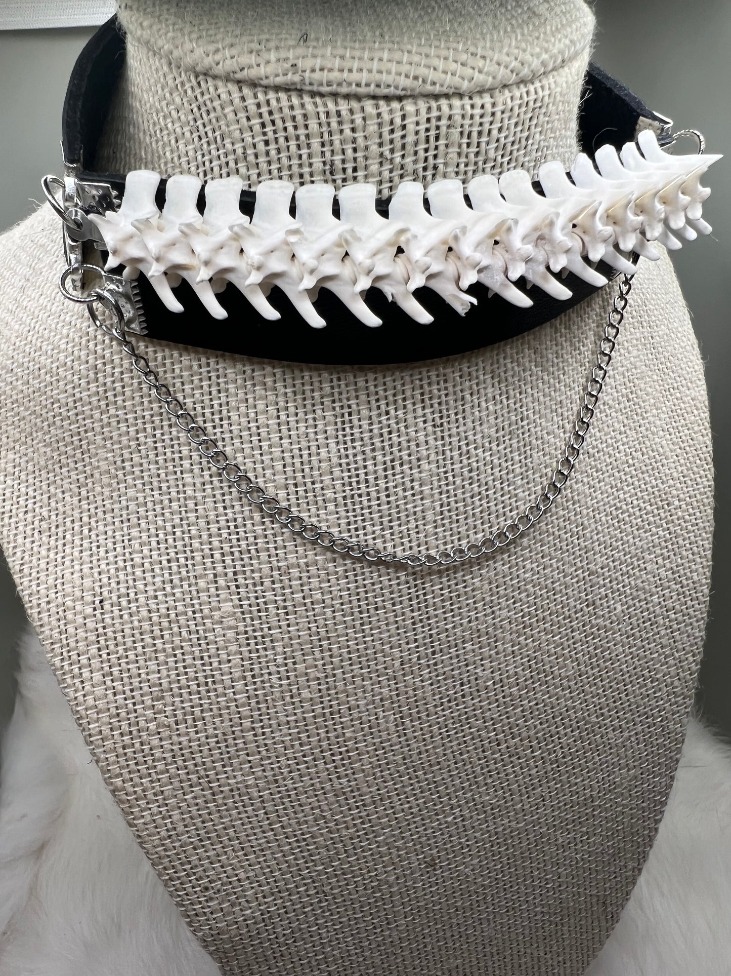 Rattlesnake Vertebrate Choker Necklace w/ Chain