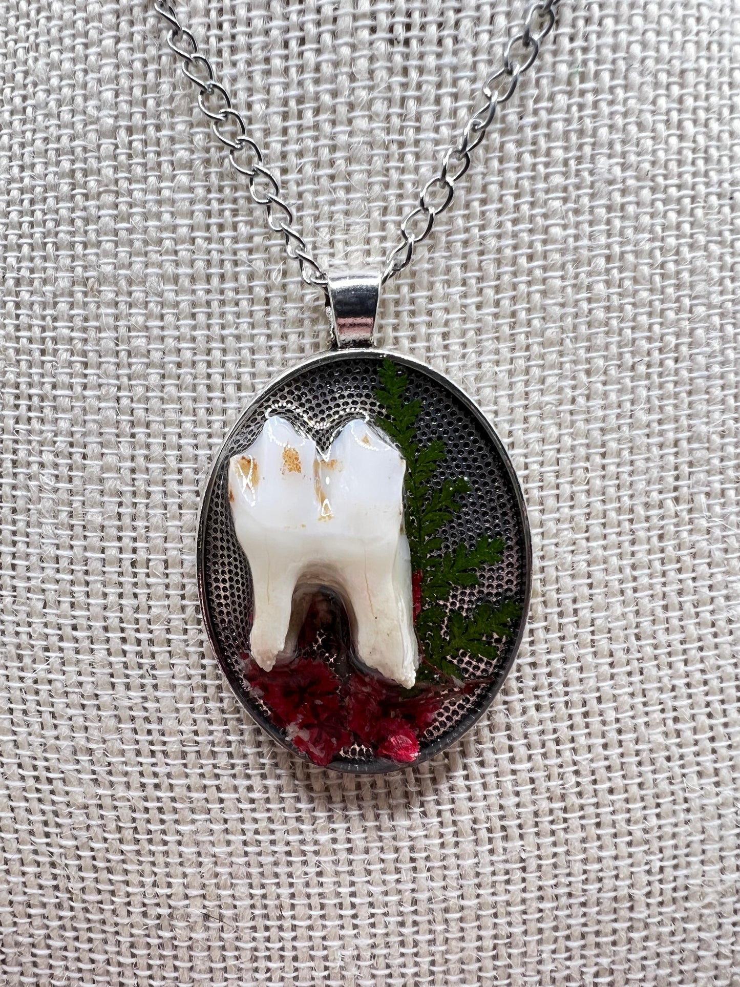 “Hades” Coyote Molar Teeth Necklace