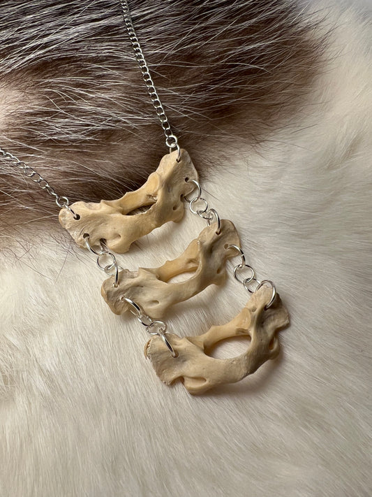 Raccoon Atlas Bone Necklace