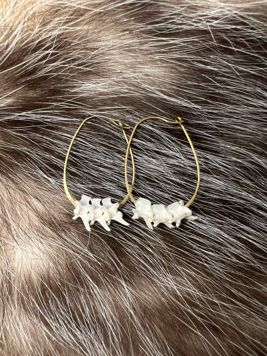 Western Diamondback Rattlesnake Vertebrae Earrings V2 - Brass Hoops