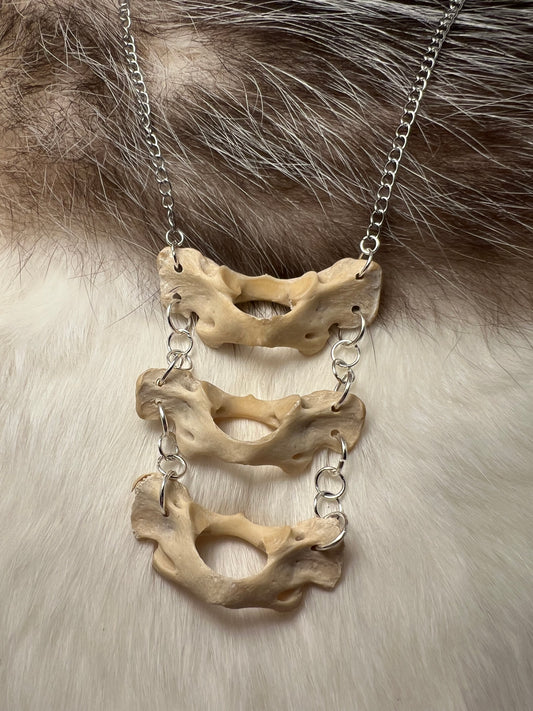 Raccoon Atlas Bone Necklace